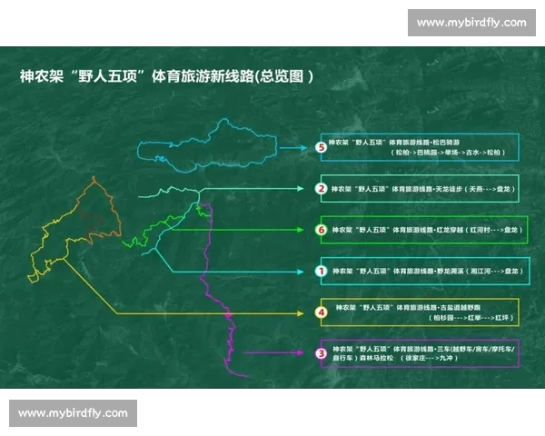 构建体教融合新生态推动青少年体育竞技教育高质量创新发展路径