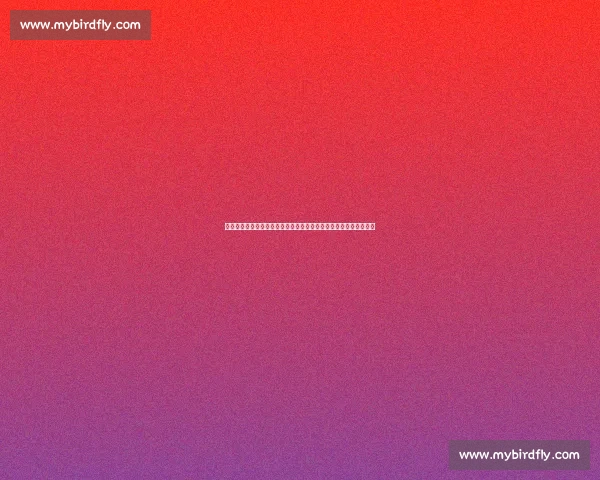 聚焦体育竞赛备战全过程科学训练策略与体能心理协同提升路径探索 聚焦体育竞赛备战全过程科学训练策略与体能心理协同提升路径探索