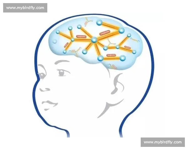 提升大脑敏捷与反应速度的科学训练方法全攻略